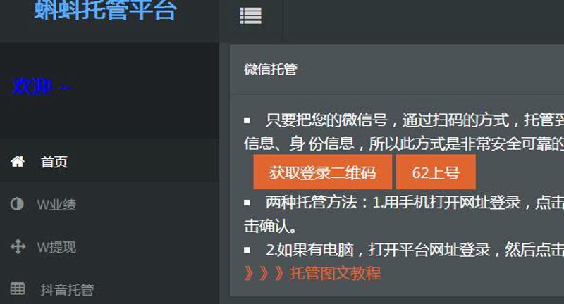 精准把握流量密码：SEO站群策略解读